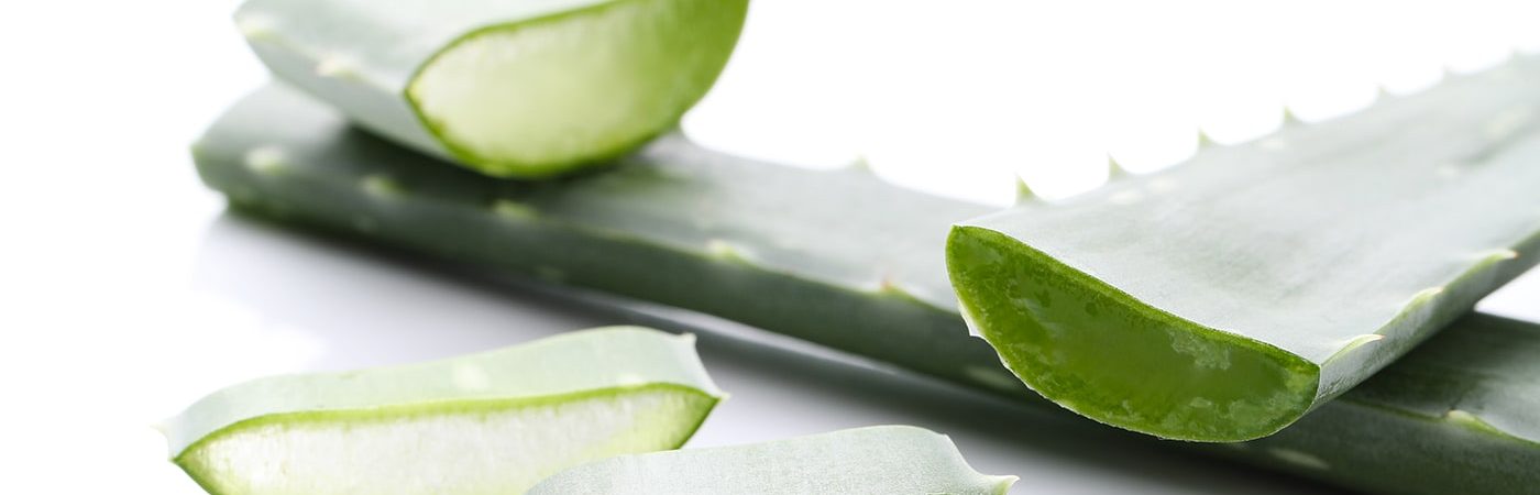 Aloes – właściwości zdrowotne i uprawa